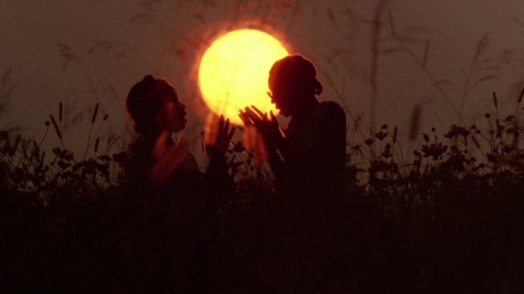 The Color Purple