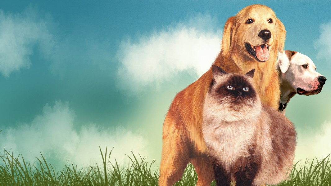 Homeward Bound: The Incredible Journey