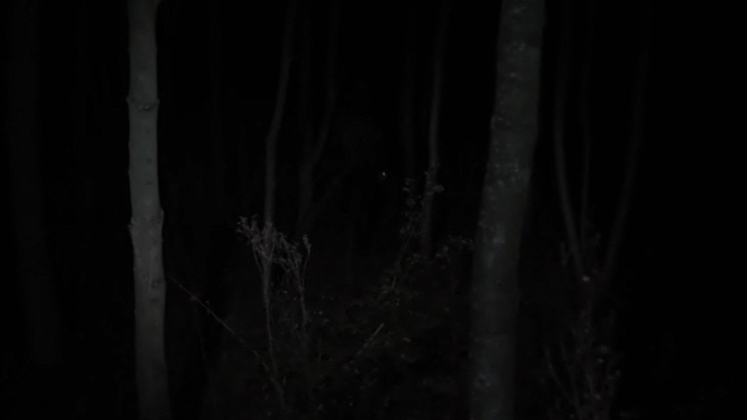 Despite the Night