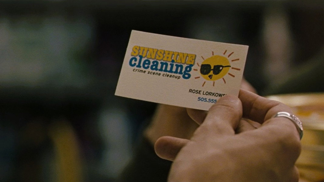 Sunshine Cleaning