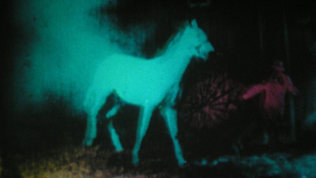 Berlin Horse