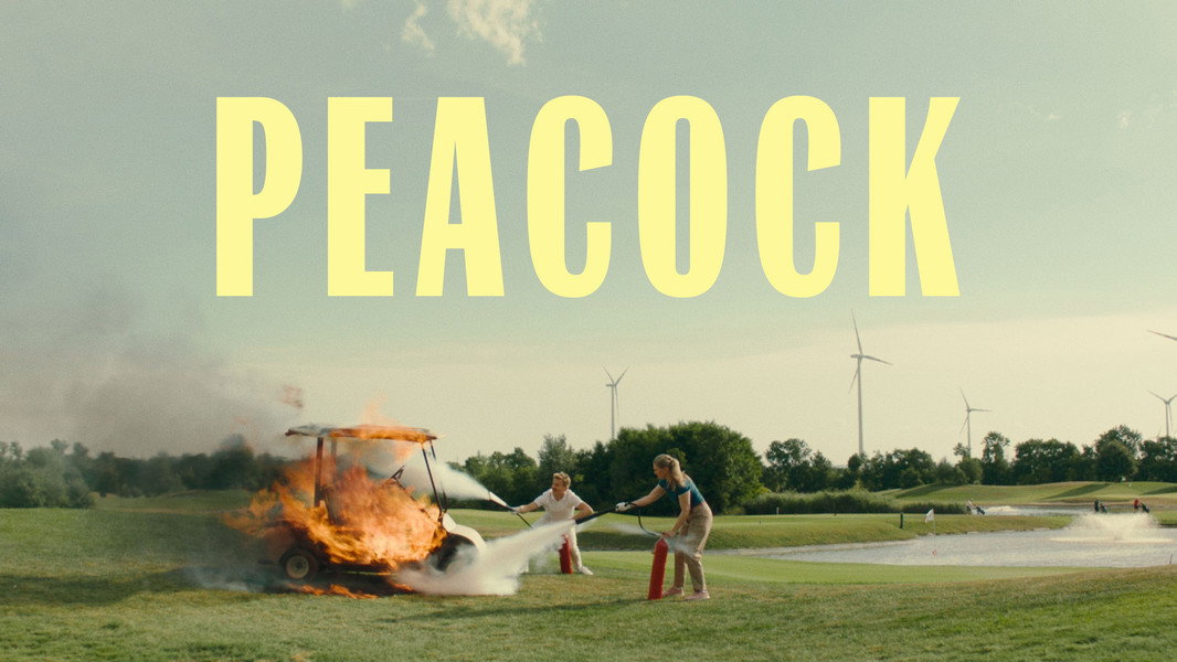 Peacock