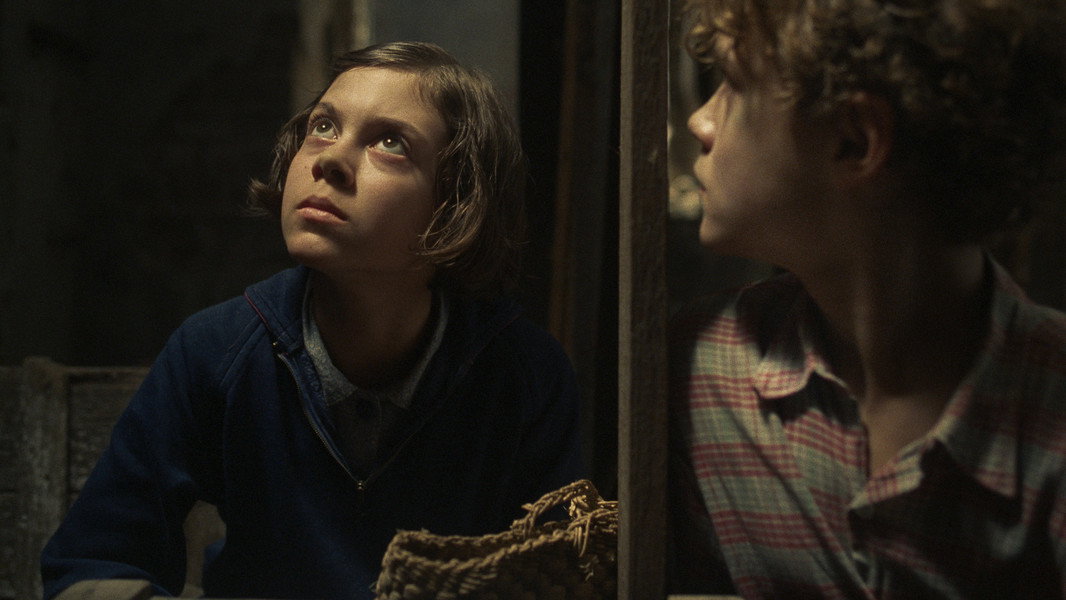 Orphan