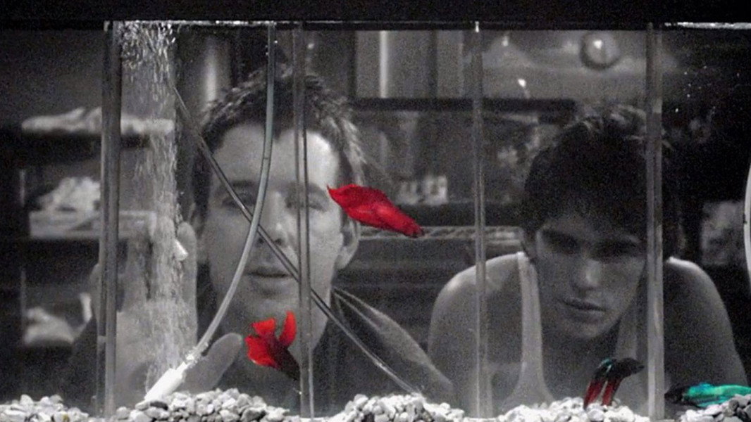 Rumble Fish