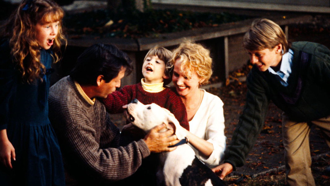 Homeward Bound: The Incredible Journey
