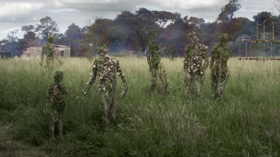 Annihilation