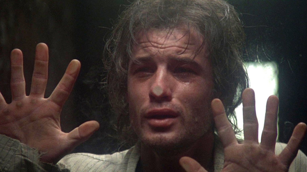 Midnight Express