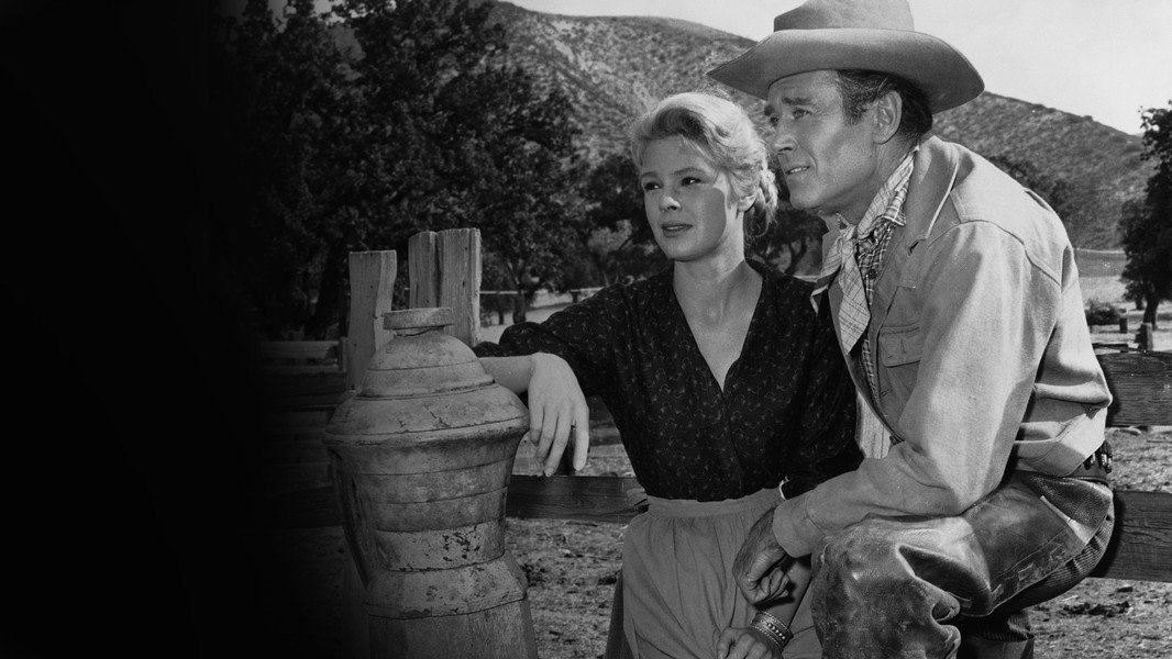 The Tin Star