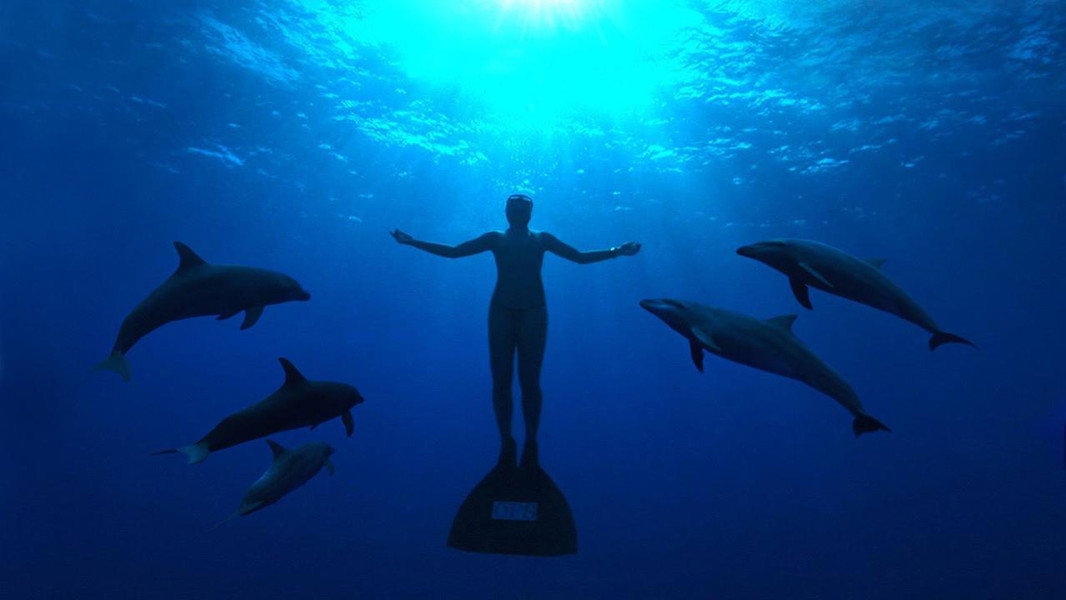 The Cove