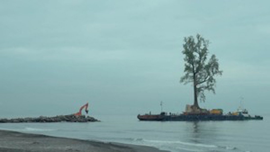 Taming the Garden