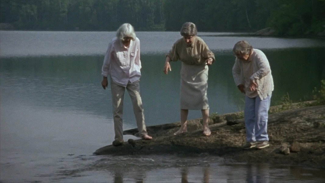 The Company of Strangers