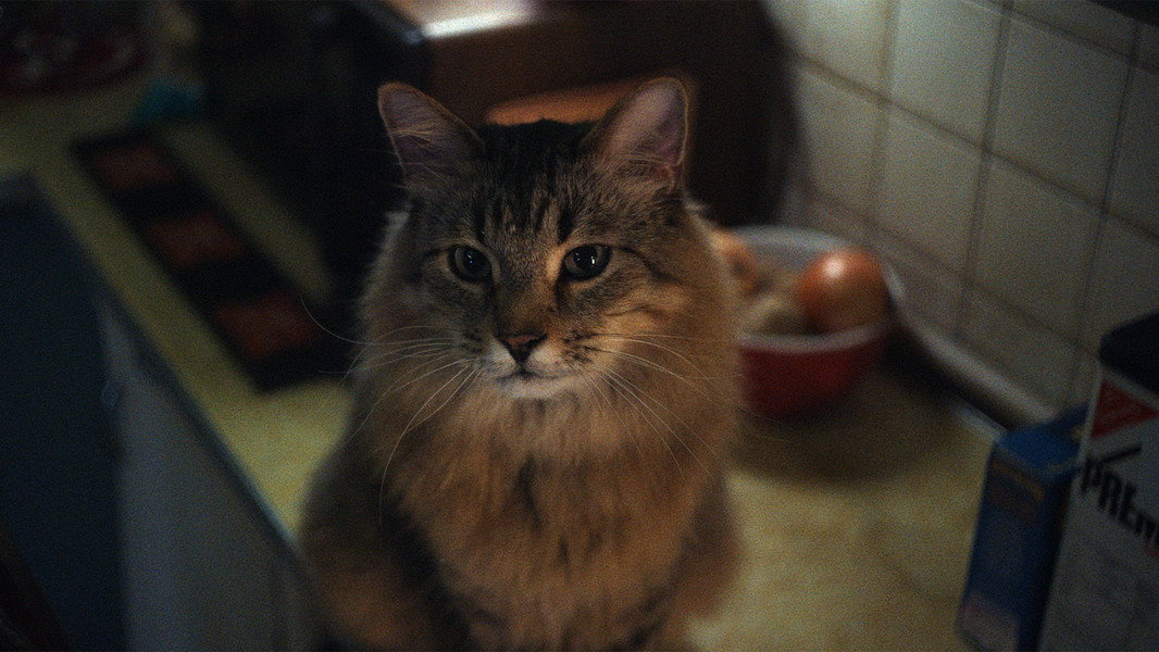 Caught Stealing