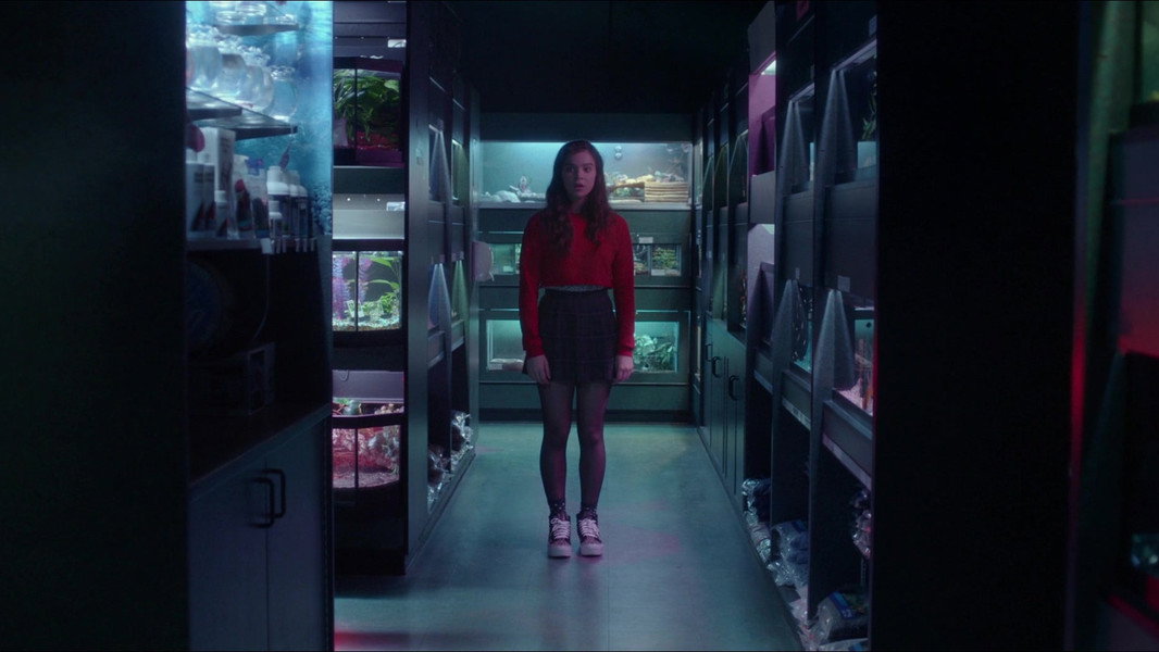 The Edge of Seventeen
