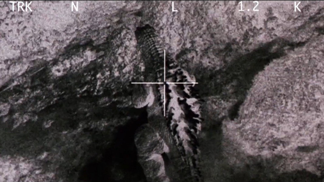 Godzilla, Mothra and King Ghidorah: Giant Monsters All-Out Attack