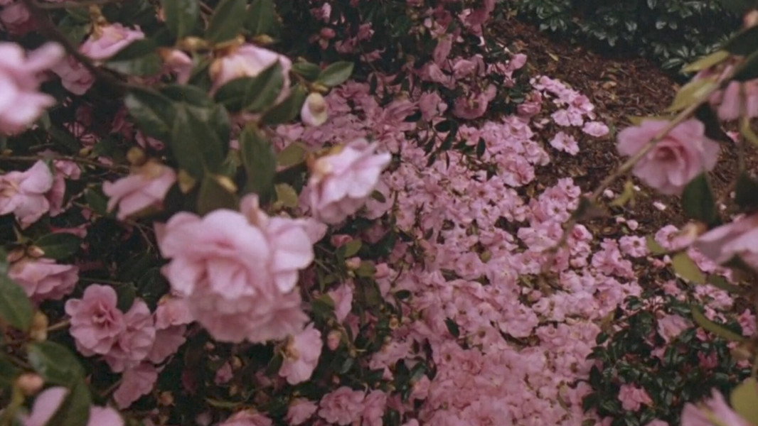 Howards End