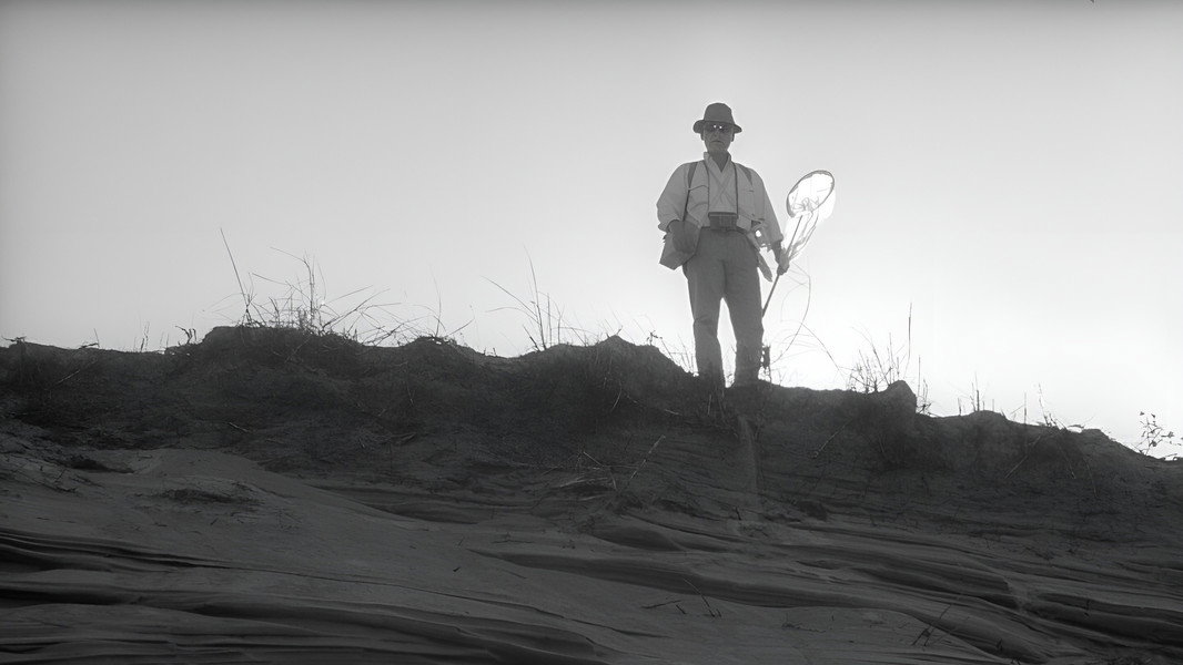 Woman in the Dunes