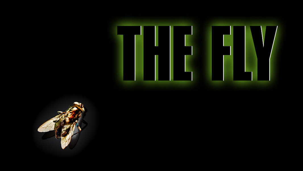 The Fly