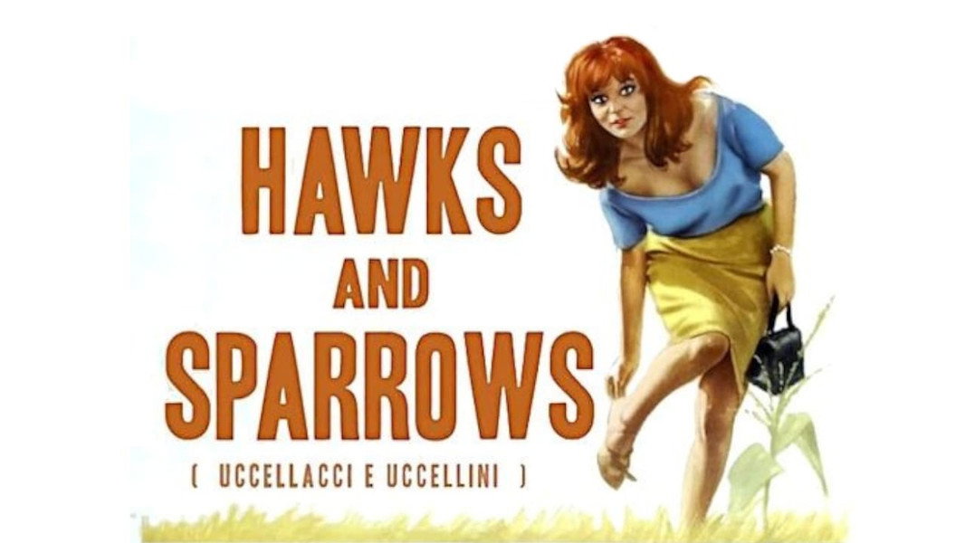 The Hawks and the Sparrows