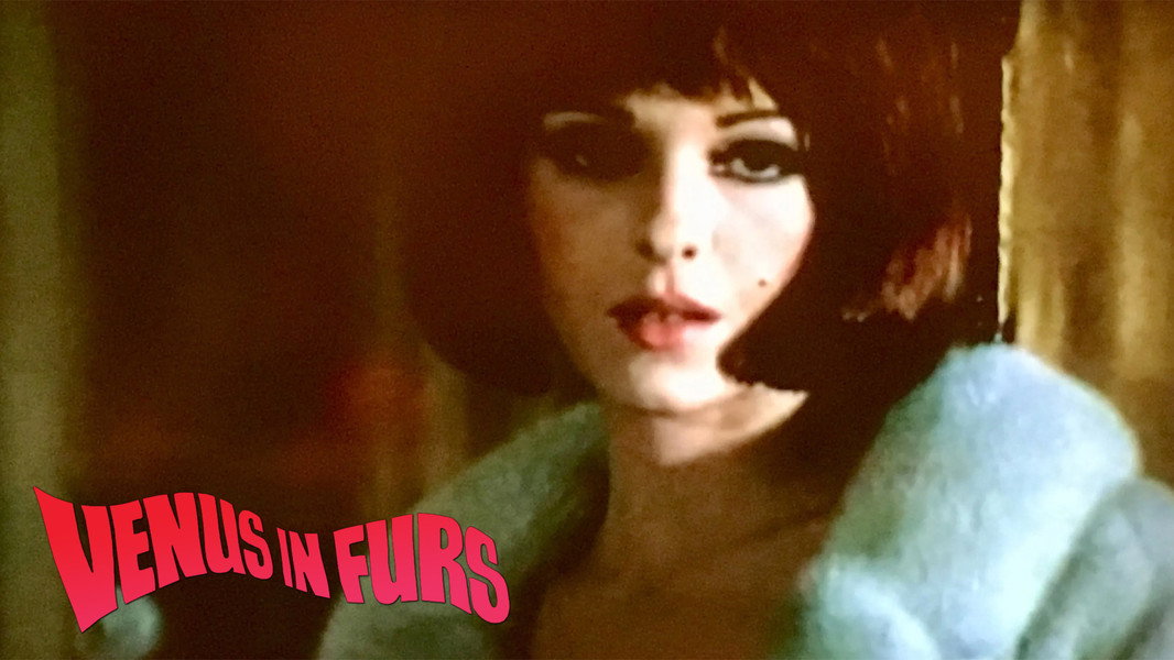 Venus in Furs