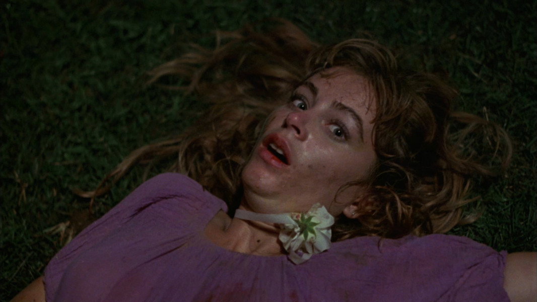 The House on Sorority Row