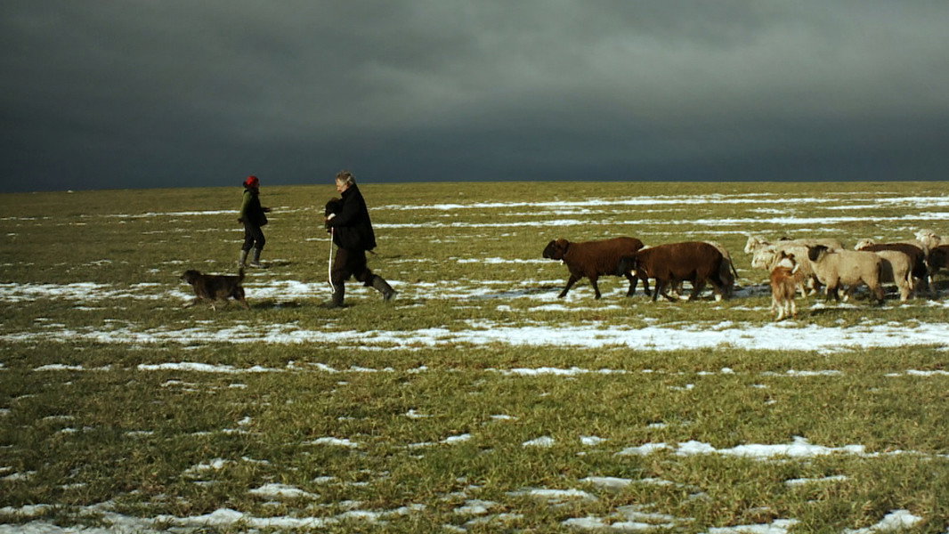 Winter Nomads