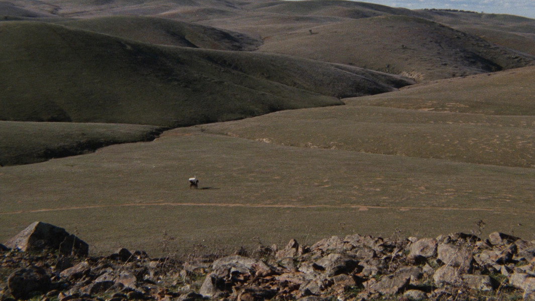 Breaker Morant