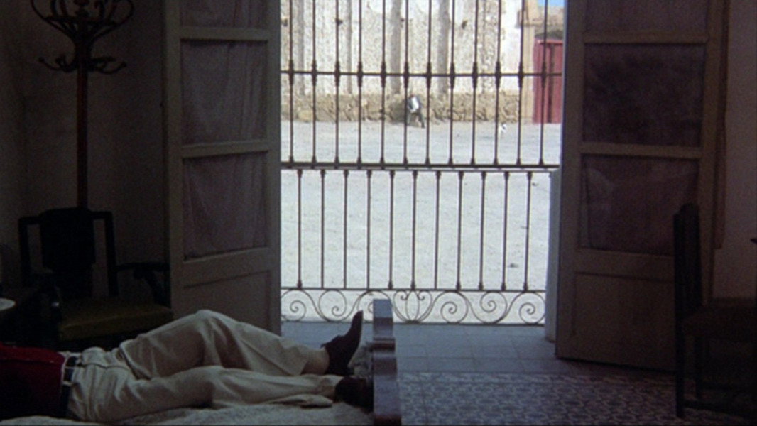 The Passenger
