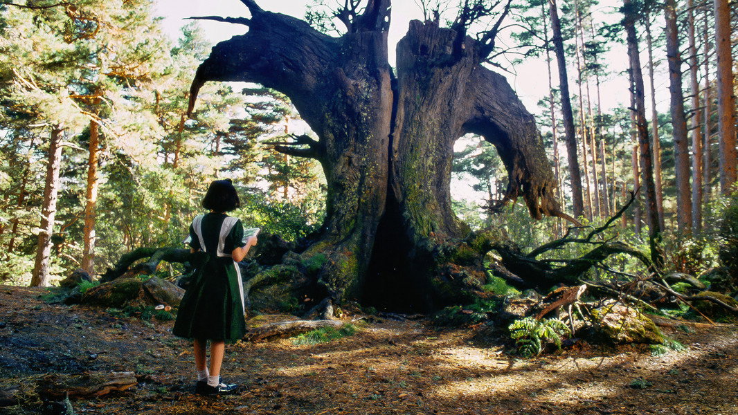 Pan's Labyrinth