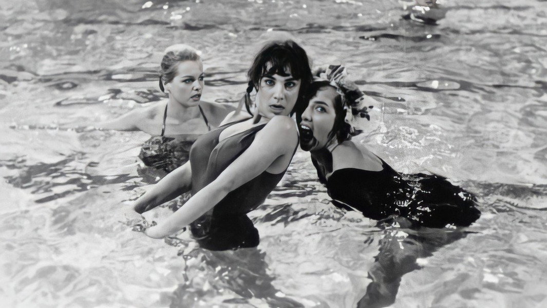 Les Bonnes Femmes