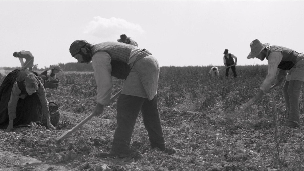 Home from Home – Chronicle of a Vision