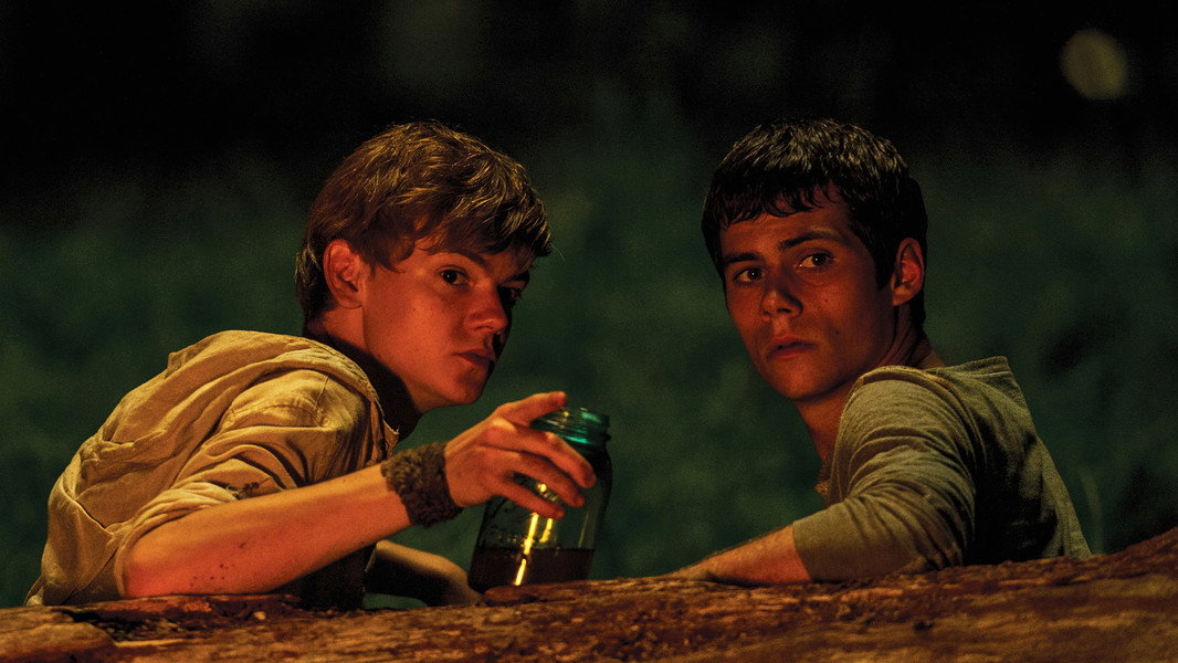 The Maze Runner
