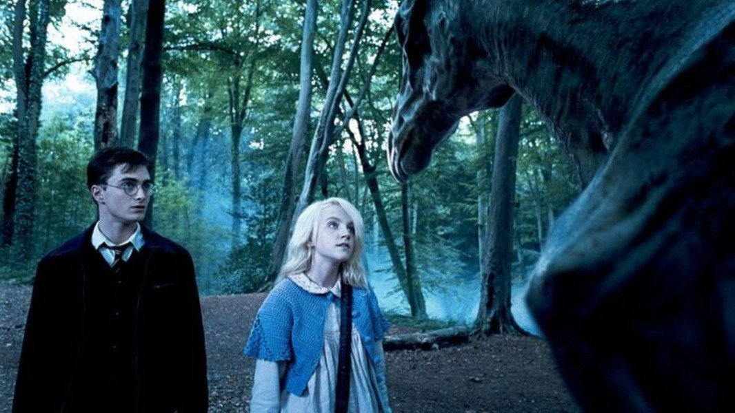 Harry Potter and the Order of the Phoenix