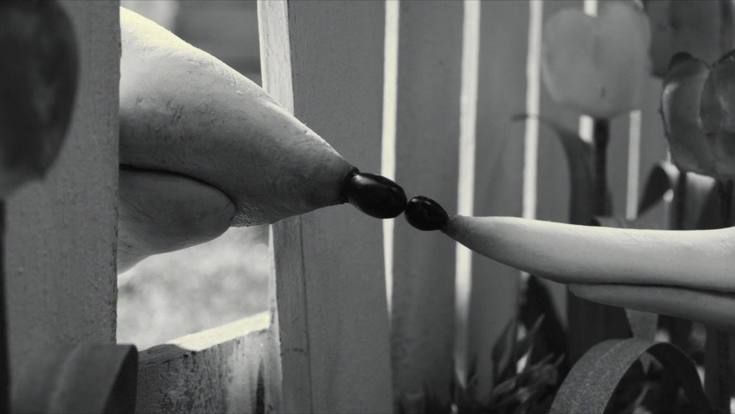 Frankenweenie