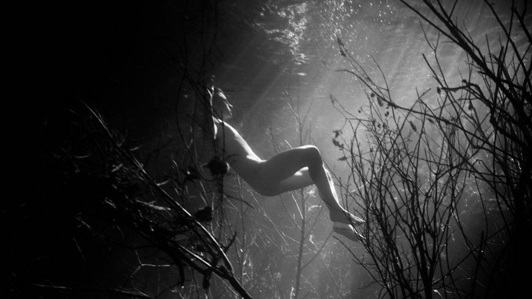 Swimmer
