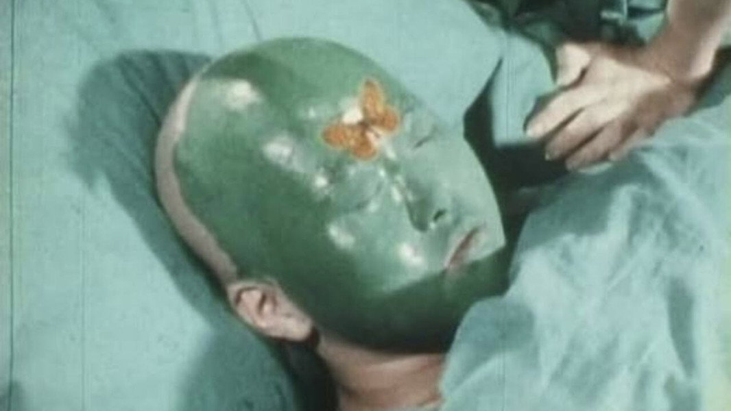 Green Bug