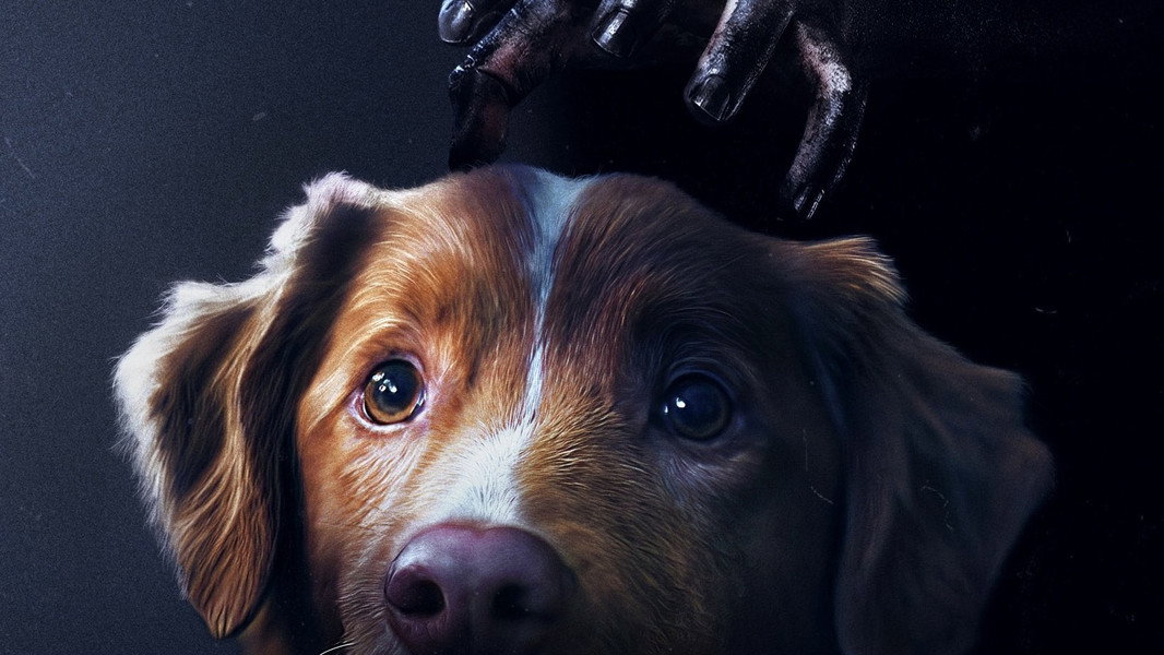 Good Boy