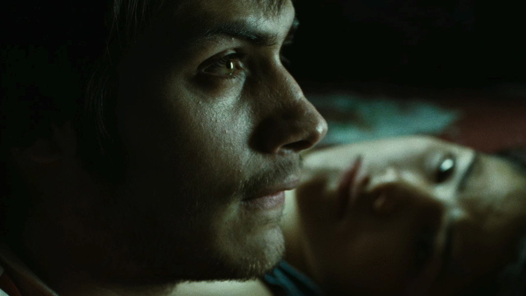 Amores Perros