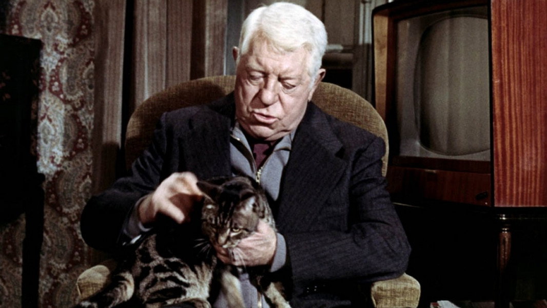 The Cat