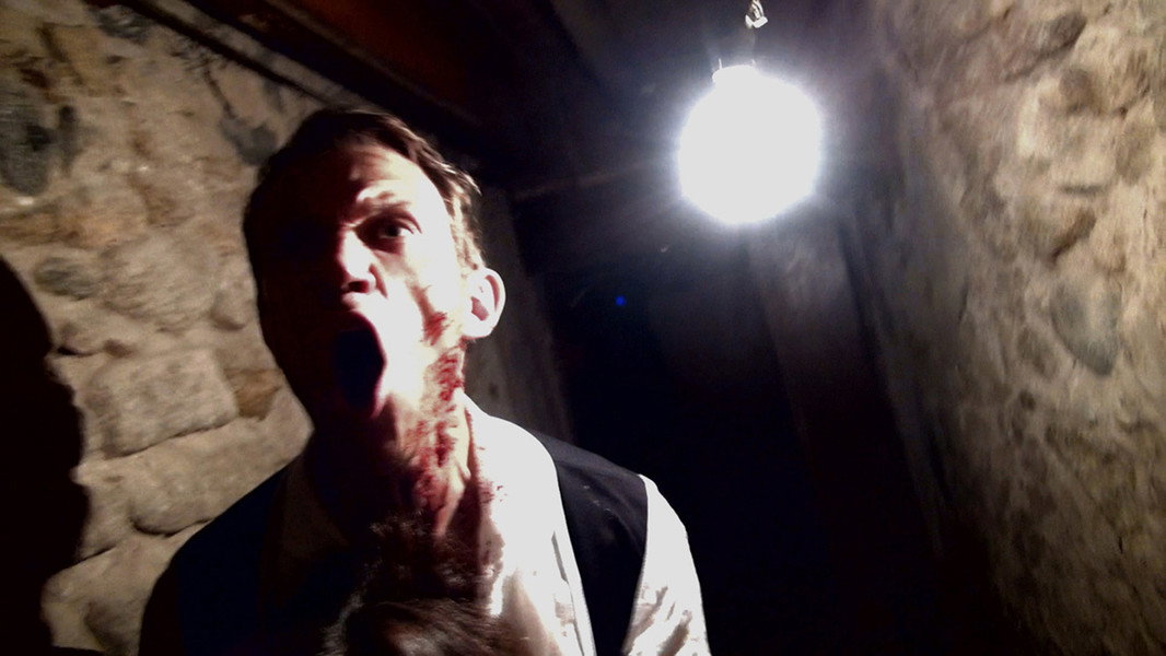 V/H/S