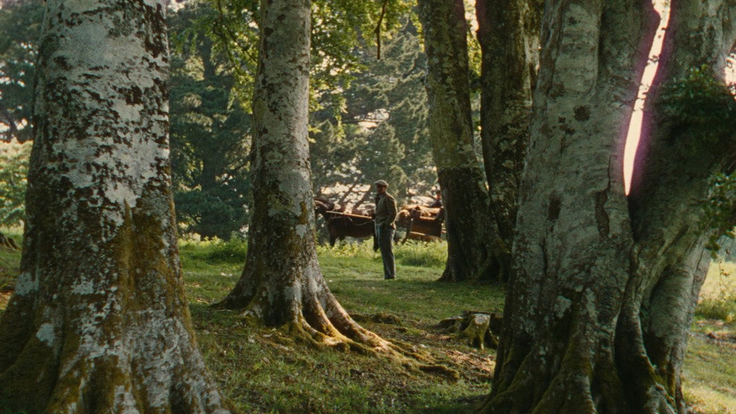 The Quiet Man