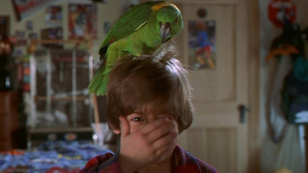 Home Alone 3