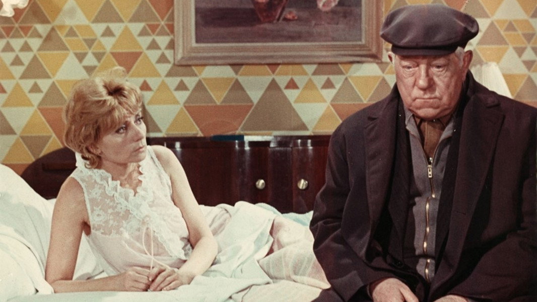 The Cat