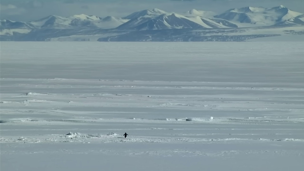 Encounters at the End of the World