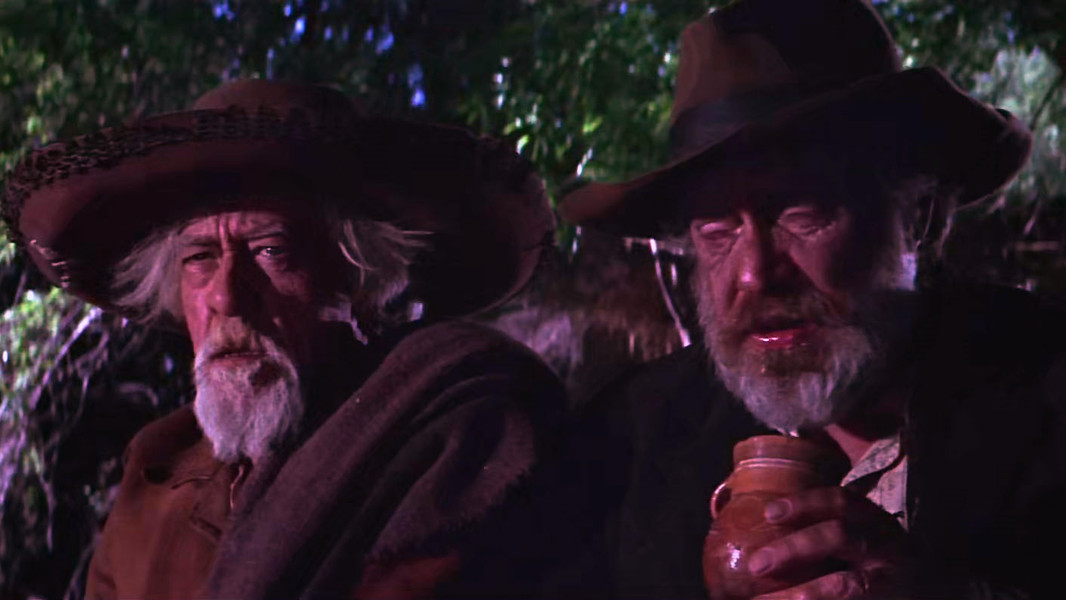 The Wild Bunch