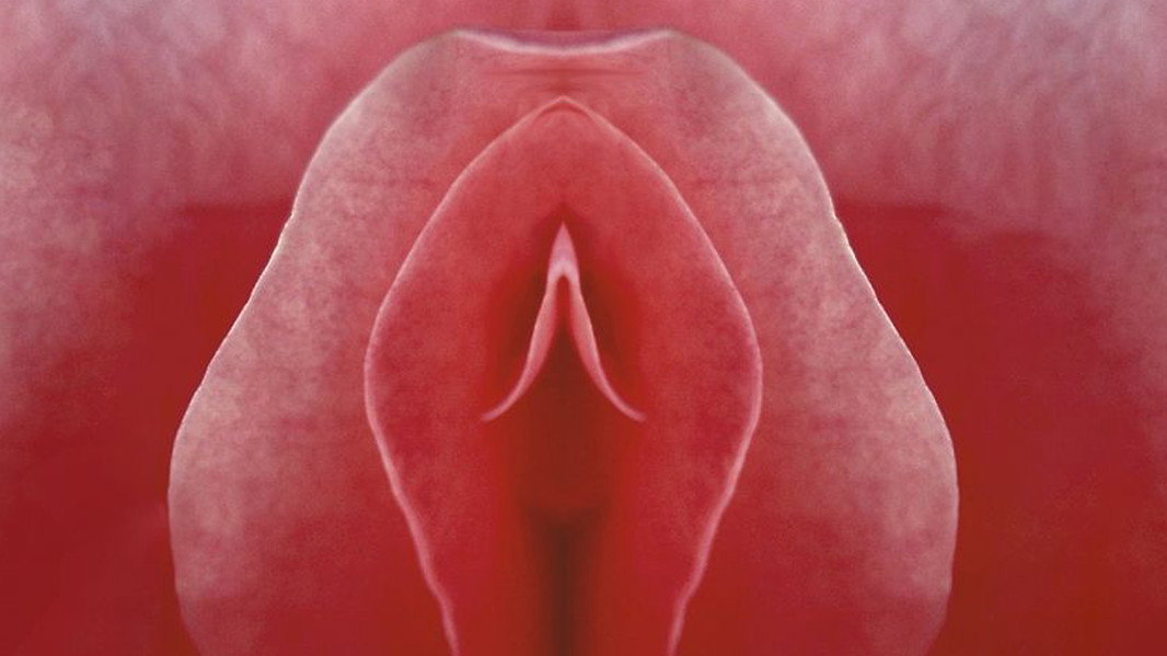 My Name is Clitoris