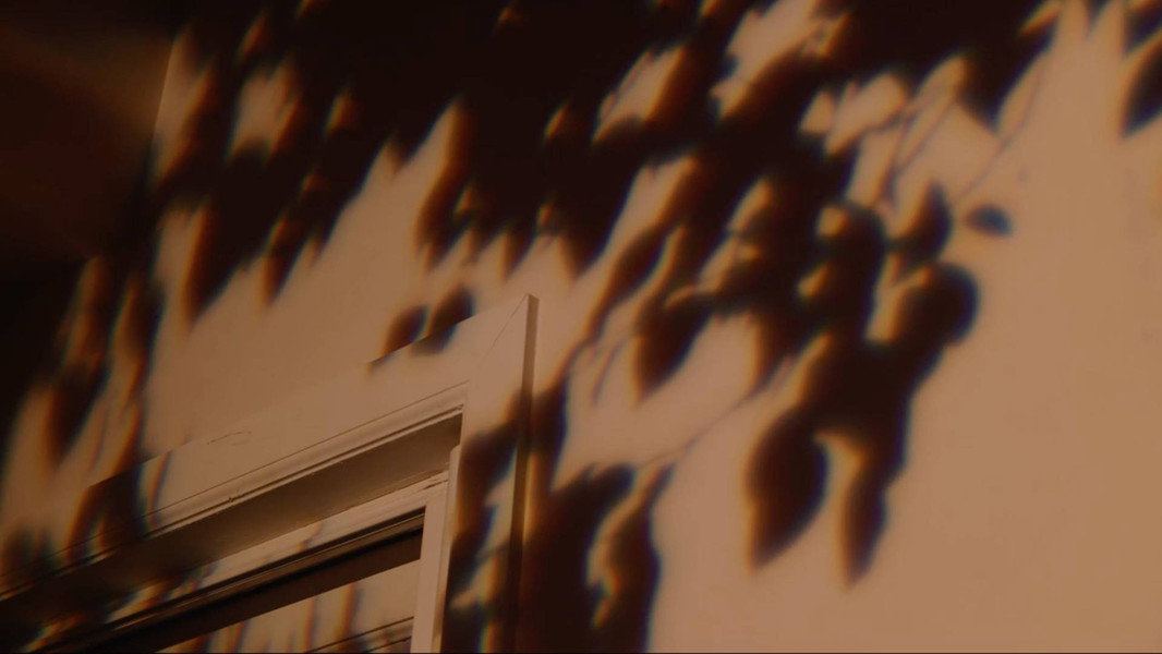 Bo Burnham: Inside