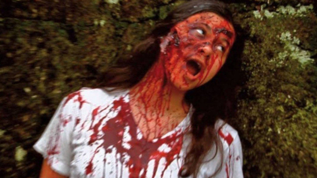 V/H/S