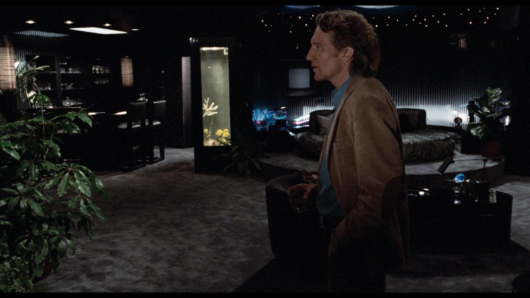 Body Double