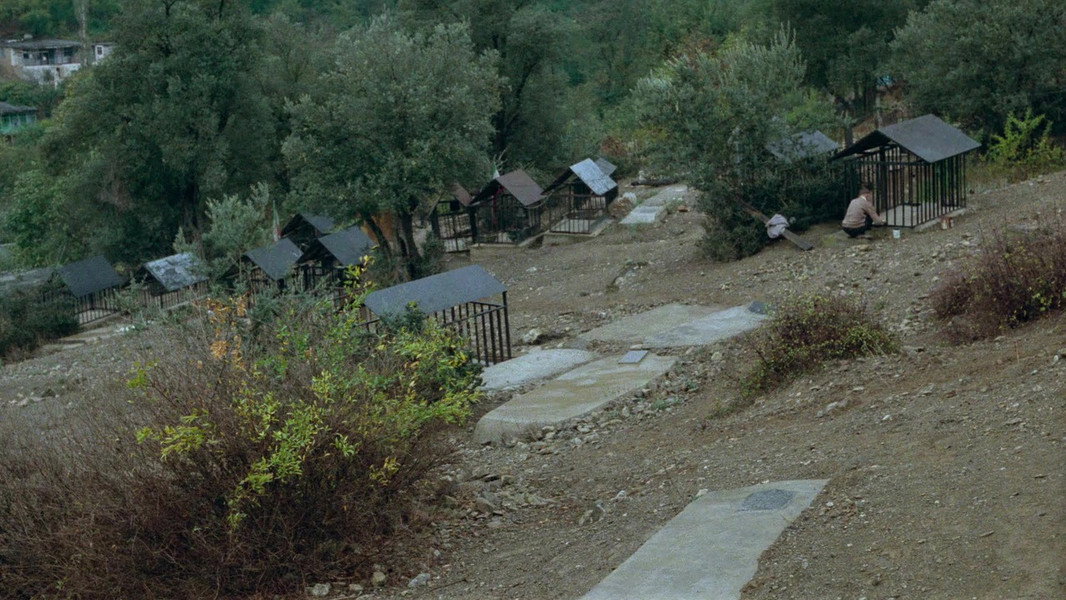 Where Is the Friend's House?