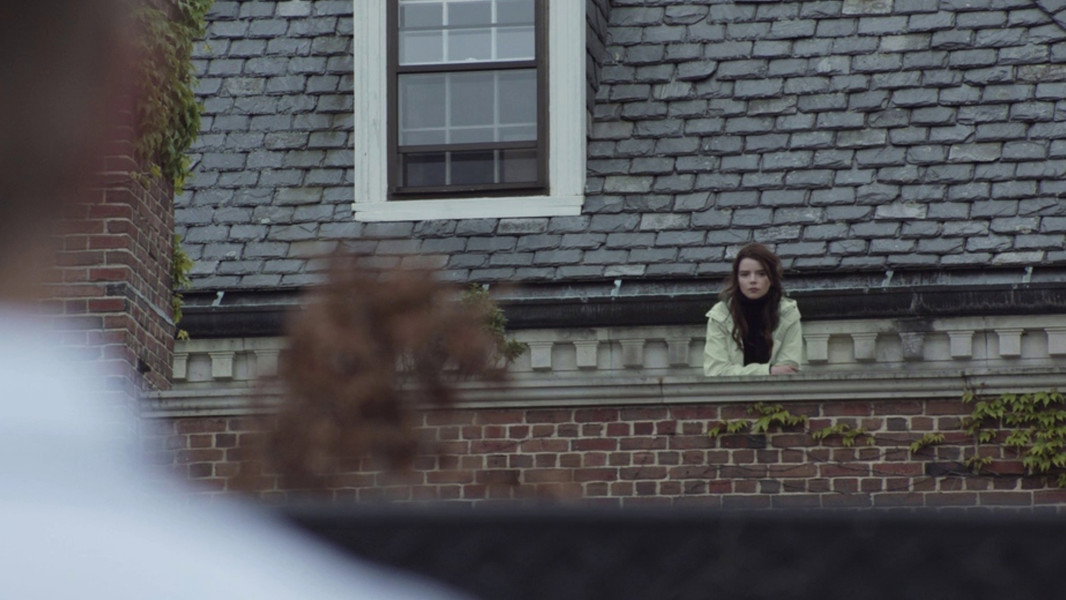 Thoroughbreds